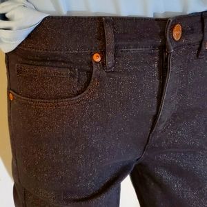 NWOT LOFT Shimmer Black Skinny 5-Pocket Jeans